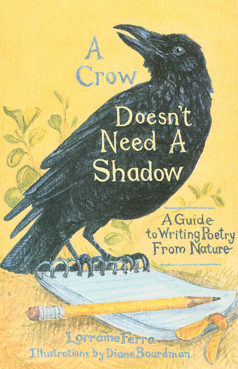 a book cover