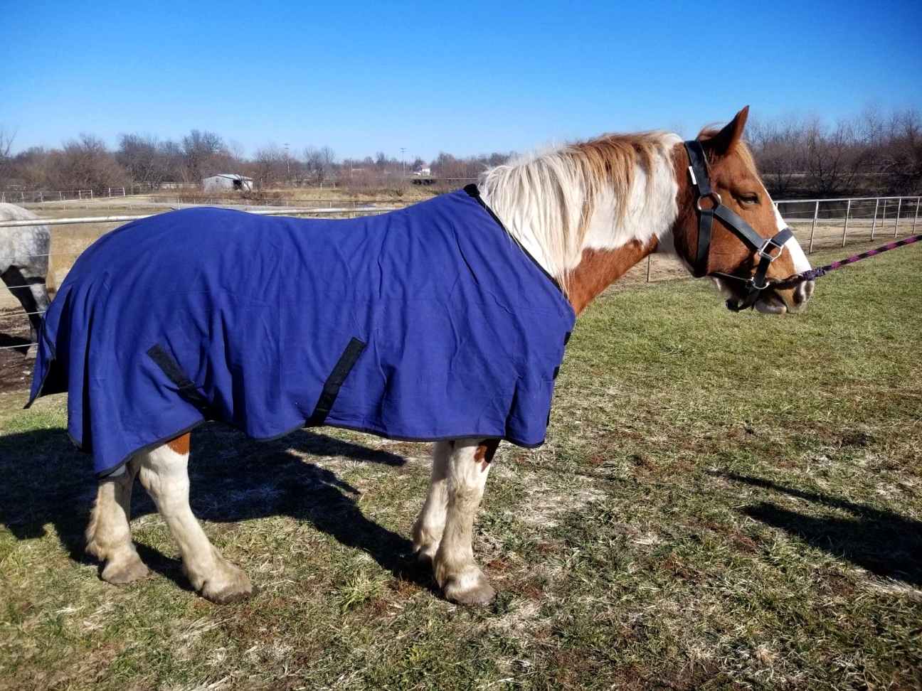 Draft horse 90″ 96″ 100″ Water Repellent Canvas Wool Blanket
