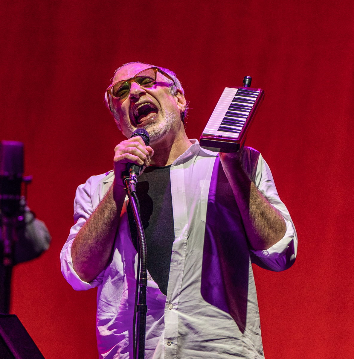 Doobie Brothers/Steely Dan Concert, Photo by Gino Barasa