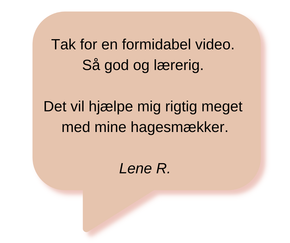 udtalelse
