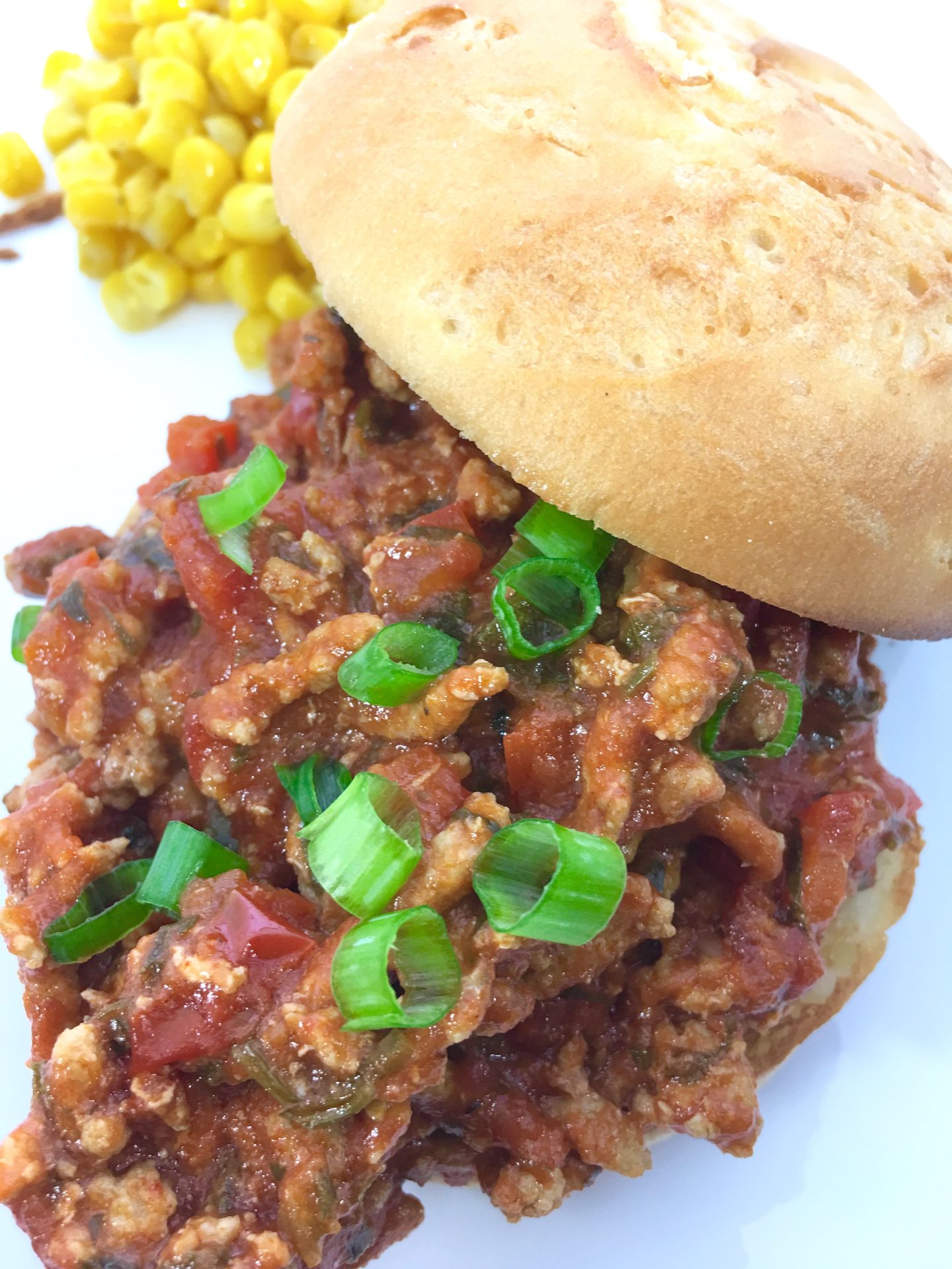 Fructose free Sloppyjoes perfect for gluten free diets Fructose Free Mom