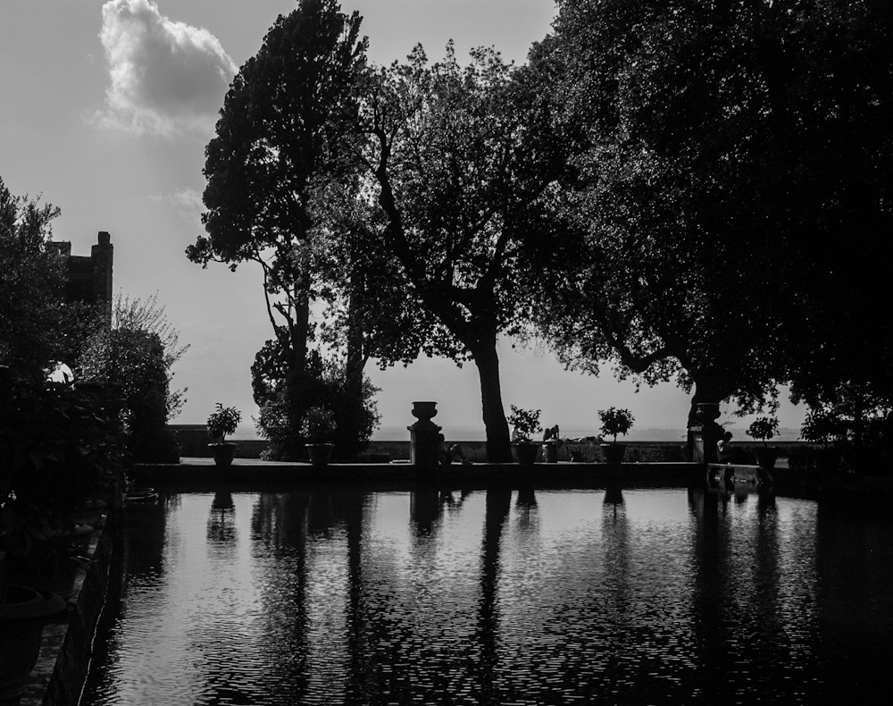 DSC_0090