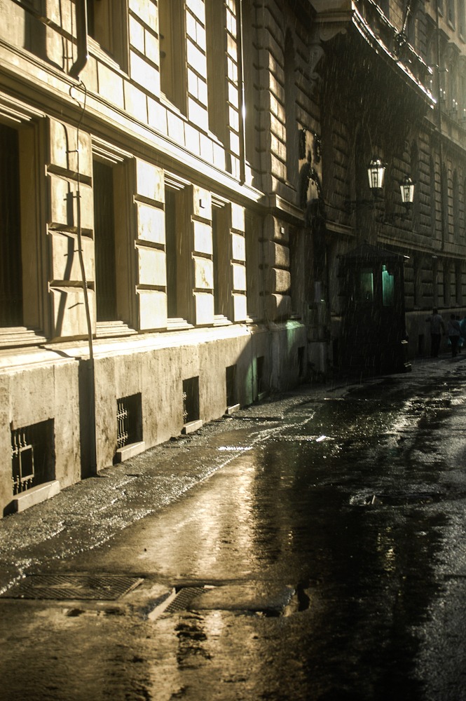 DSC_0243