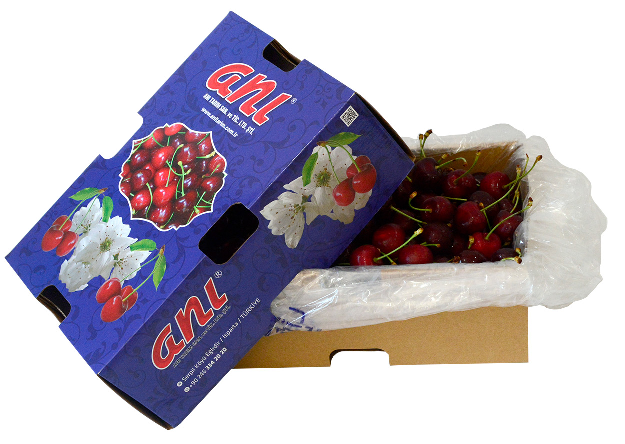 Cherry Packaging by ANI TARIM FRESH FRUITS Turkey's Fruit Exporter | Fresh Fruits by ANI TARIM