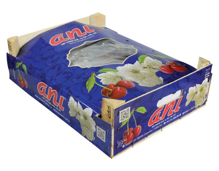 Cherry Exporter Turkey