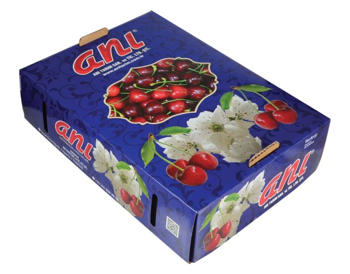 Cherry Exporter Turkey