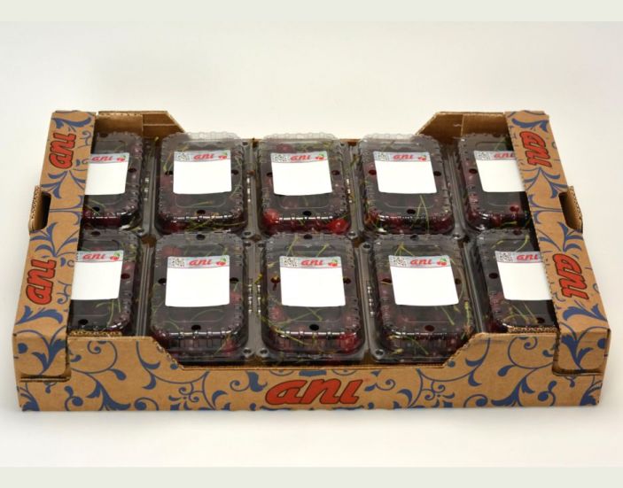 Cherry Export Company Turkey