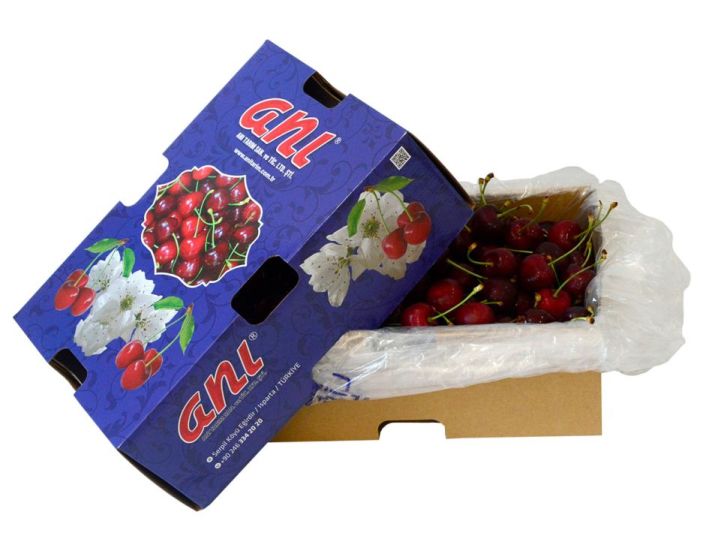 Turkish Cherry Exporter