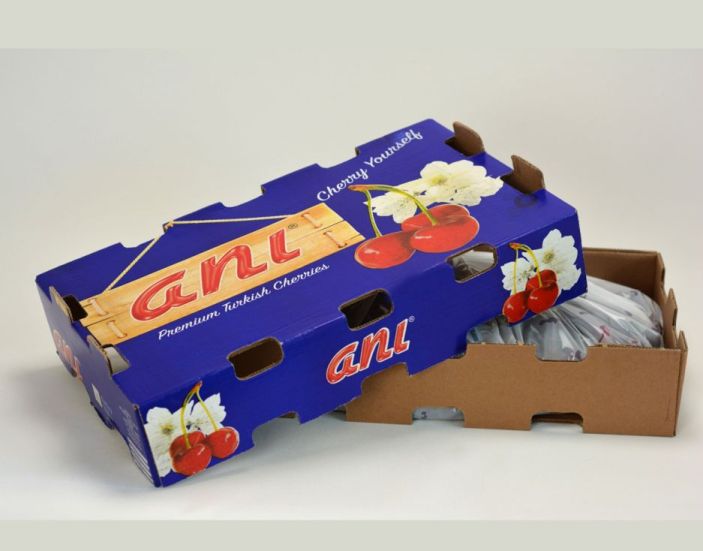 Turkey Cherry Exporter