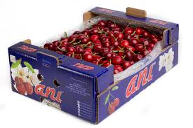 Why does Turkey grow so many cherries? Turkey's Fruit Exporter | Fresh Fruits by ANI TARIM