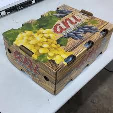 Nutrition Facts - Grapes Turkey's Fruit Exporter | Fresh Fruits by ANI TARIM