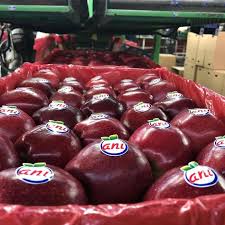 What is the price of fresh apple fruit in Turkey? Turkey's Fruit Exporter | Fresh Fruits by ANI TARIM