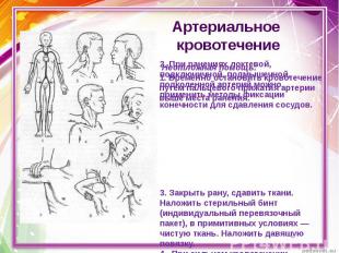 Презентация на тему заболевания сердца и сосудов. Профилактика сердечно-сосудистых заболеваний. Просмотр содержимого документа «Презентация Предупреждение заболеваний сердца и сосудов»