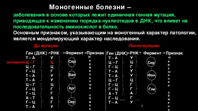 Генные болезни человека презентация. Презентация "наследственные болезни человека"