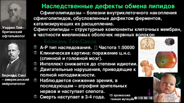 Генные болезни человека презентация. Презентация "наследственные болезни человека"
