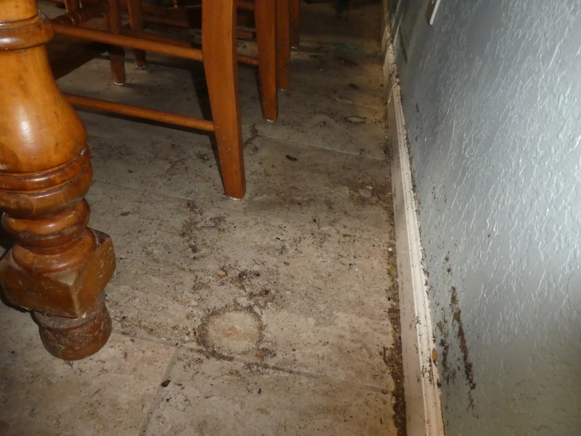 category 3 hurricane water damage ocoee fl