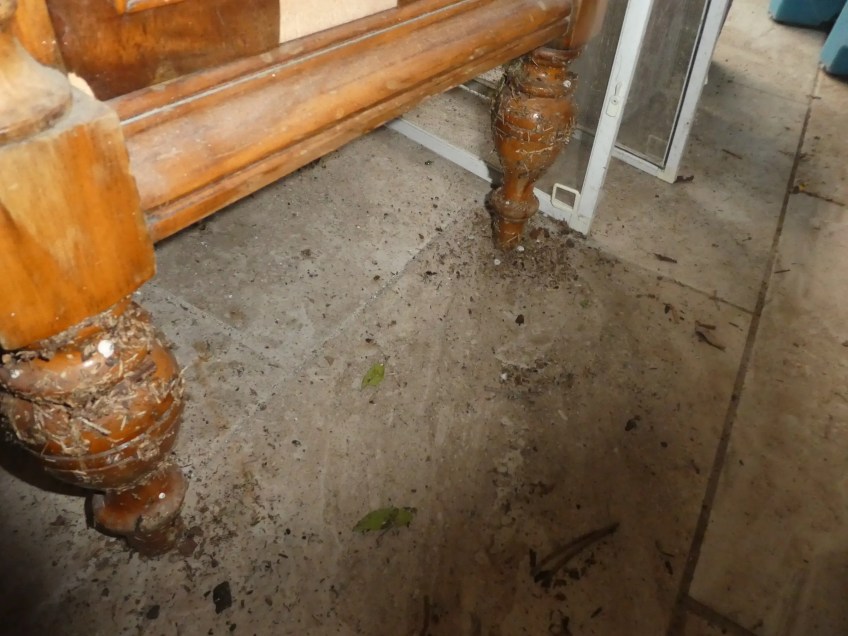 Category 3 Hurricane Water Damage Testing category 3 hurricane water damage testing in oviedo fl