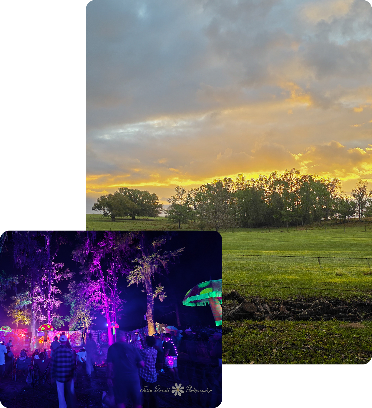 About the Ranch