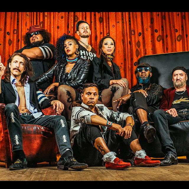 28+ Great Gogol Bordello American Wedding Lyrics : Gypsy Official Porn Site - Porn Star Tour : Have you ever been to american wedding?