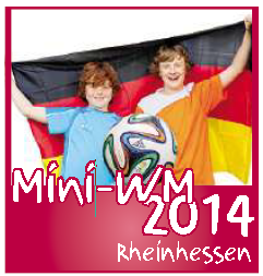 MiniWM2014