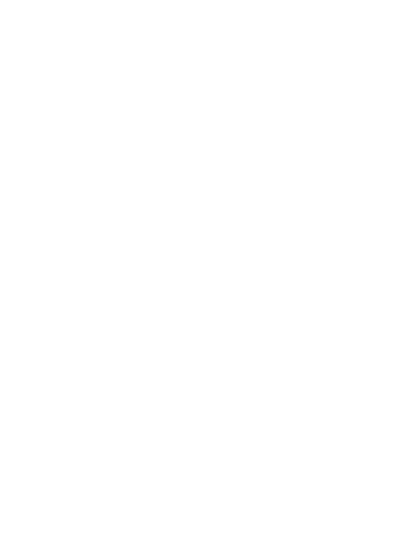 FT Braunschweig
