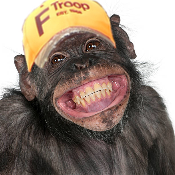 Chip after he shoots buck!