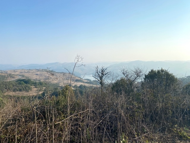 Exploring Wildcat Canyon Regional Park
