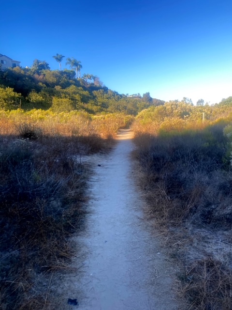 Gonzales Canyon