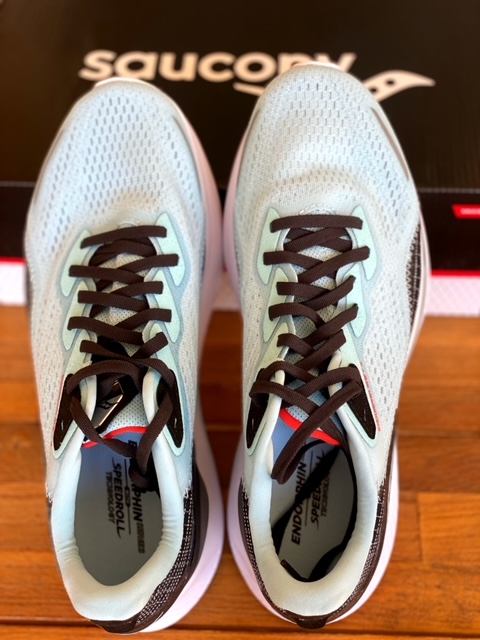 Saucony Endorphin Shift 2 Shoe Review 