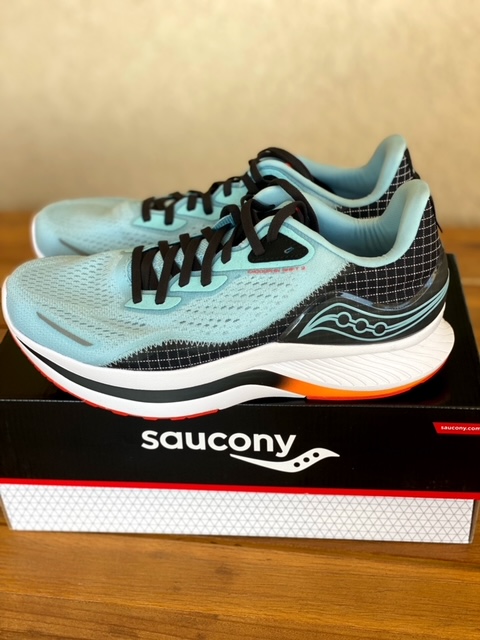 endorphin shift 2 release date