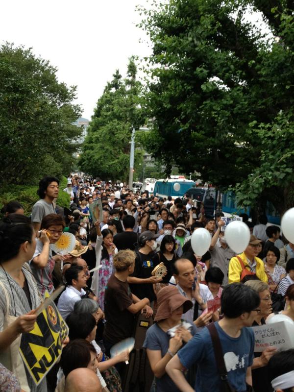 Ajisai revolution 30