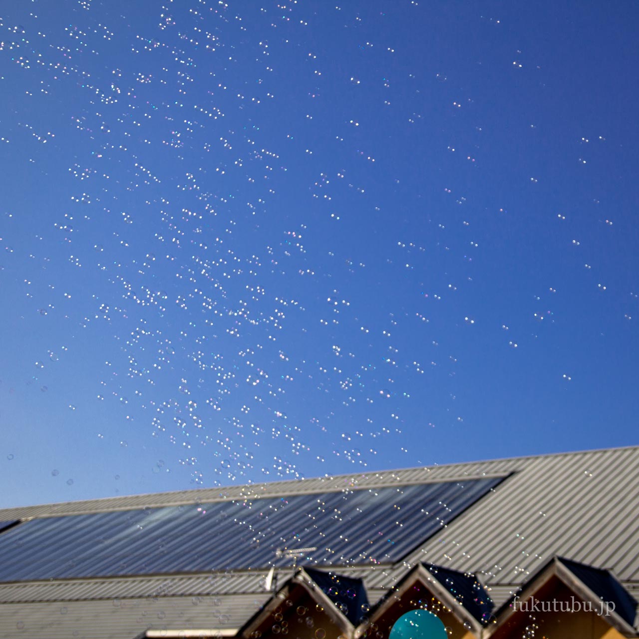 ふたばワールド2014inかわうち