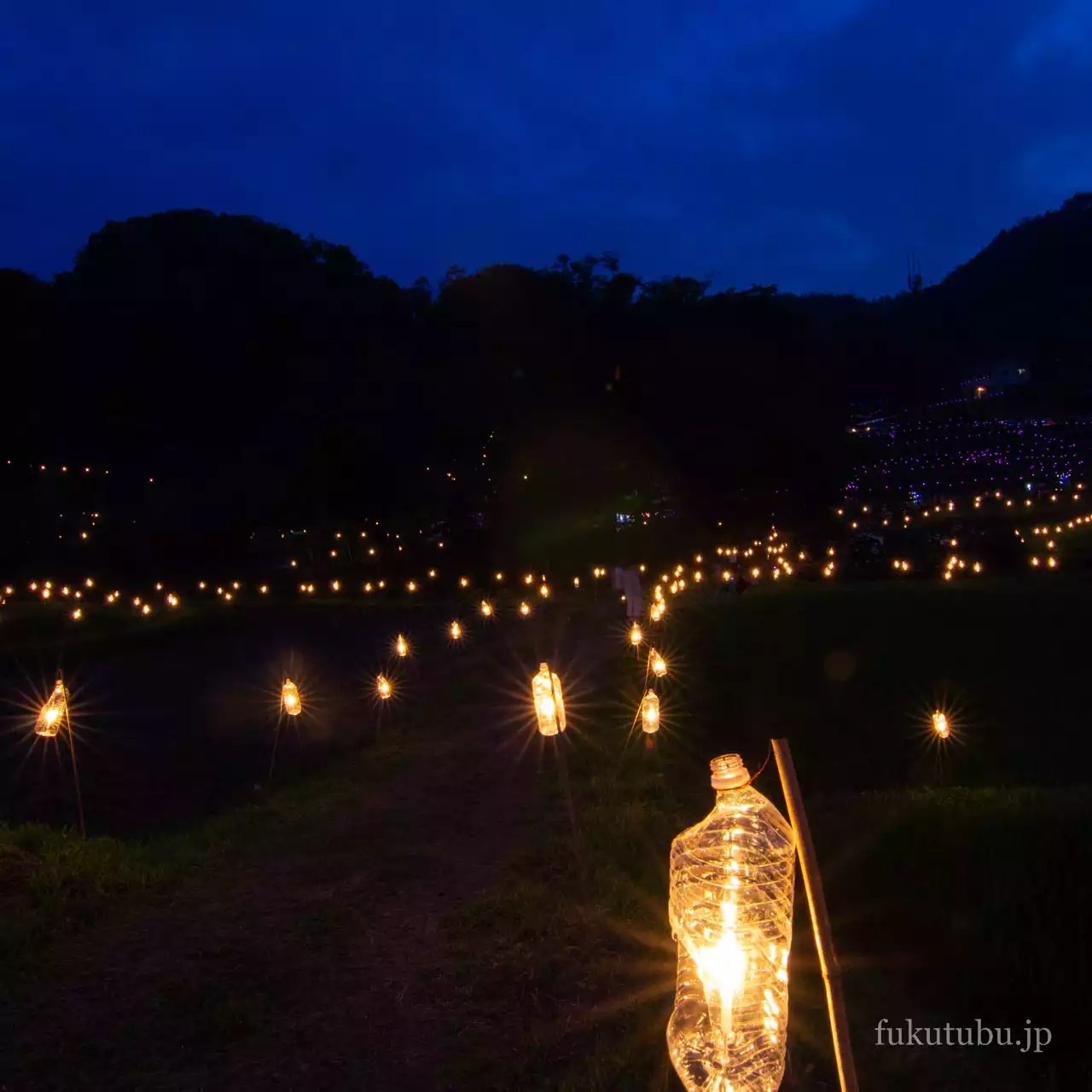 くぼたあじさい祭り2015