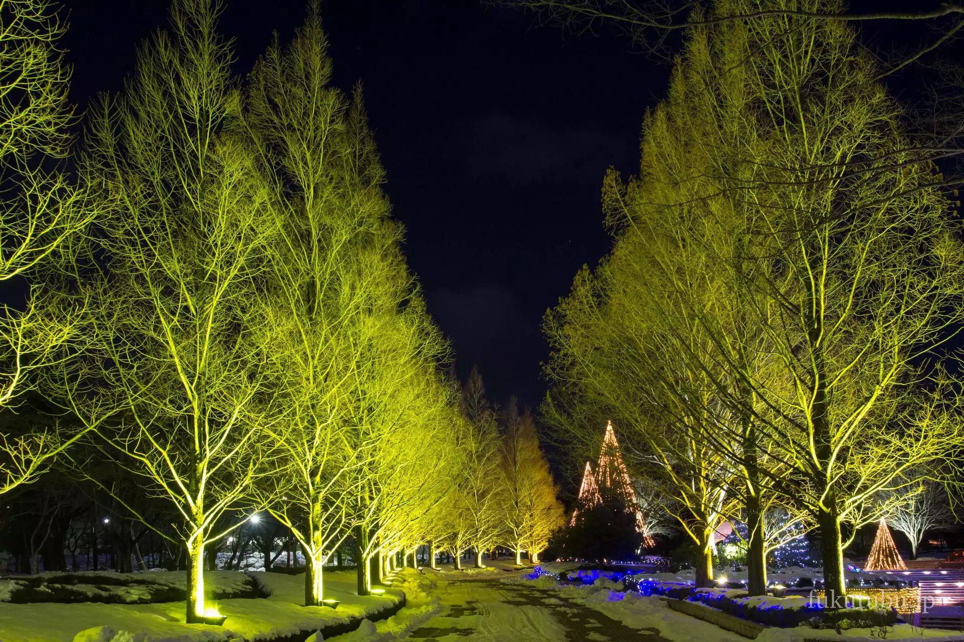あづま総合運動公園 光のTREEページェント2015