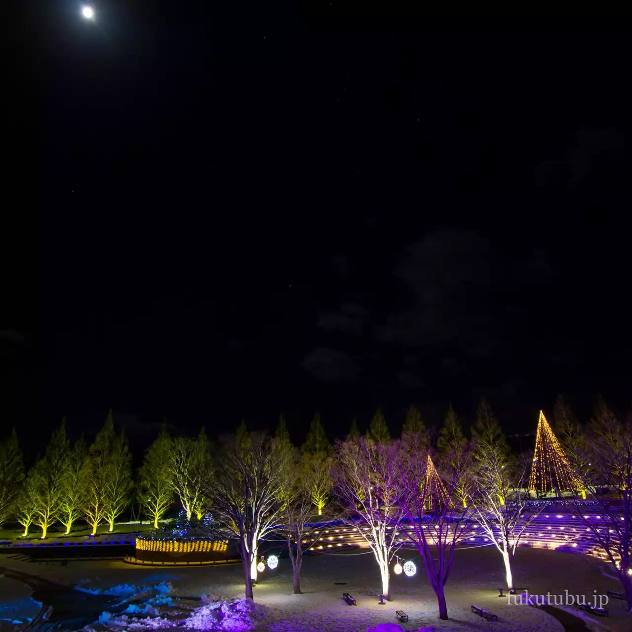 あづま総合運動公園 光のTREEページェント2015