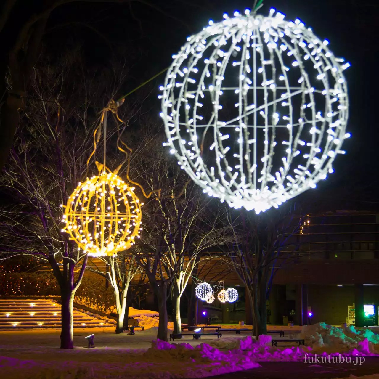 あづま総合運動公園 光のTREEページェント2015