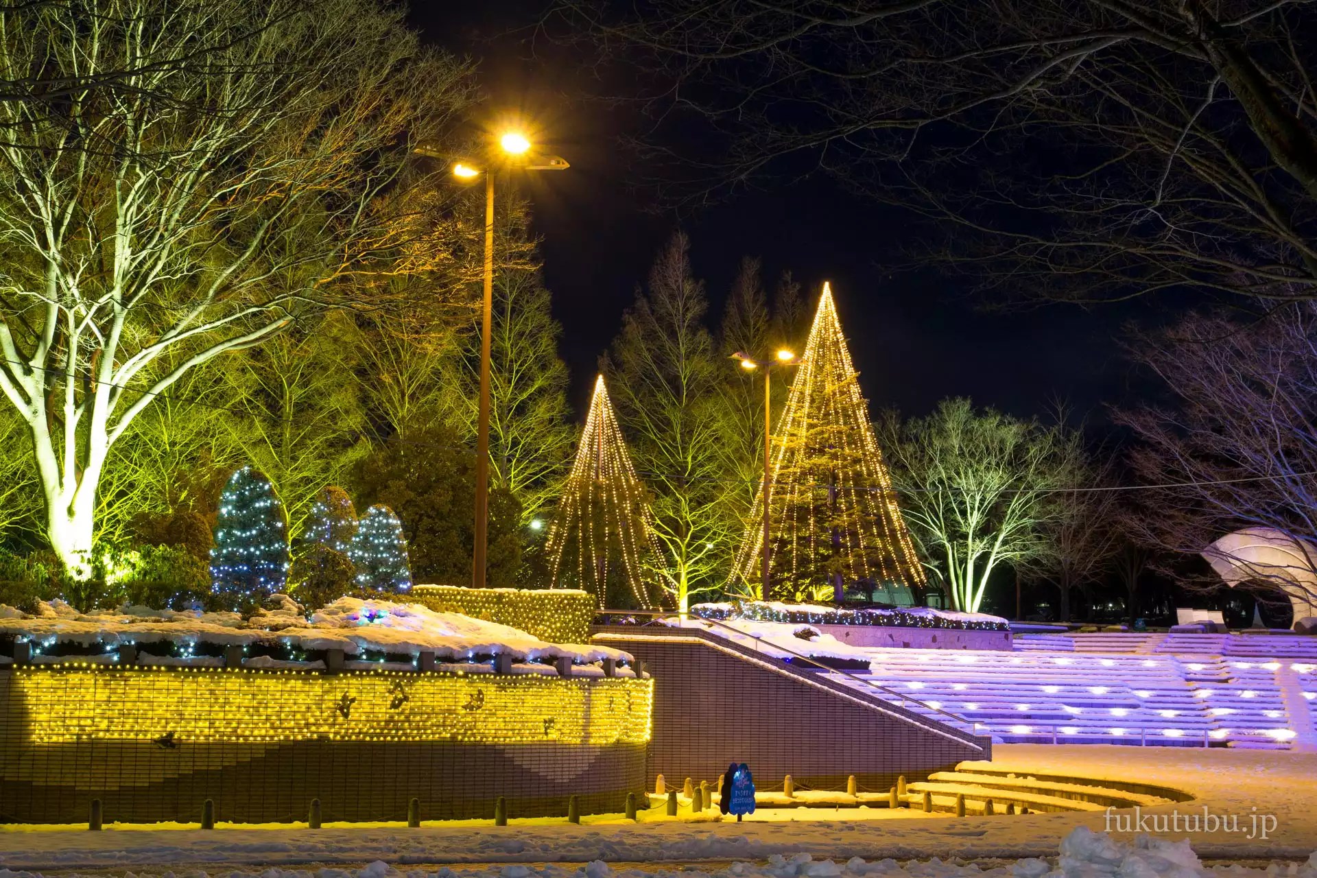 あづま総合運動公園 光のTREEページェント2015