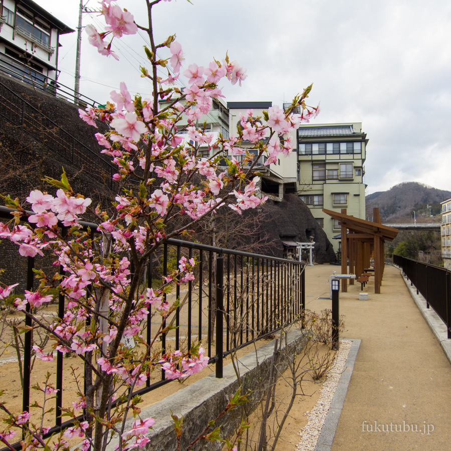飯坂温泉 波来湯