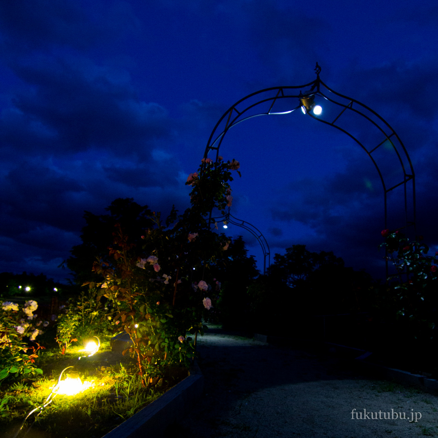 あづま香りのばら園
