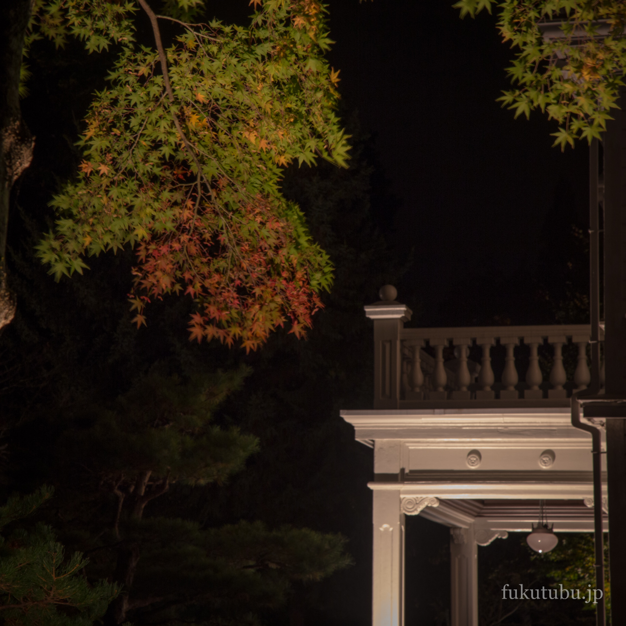 天鏡閣ライトアップ