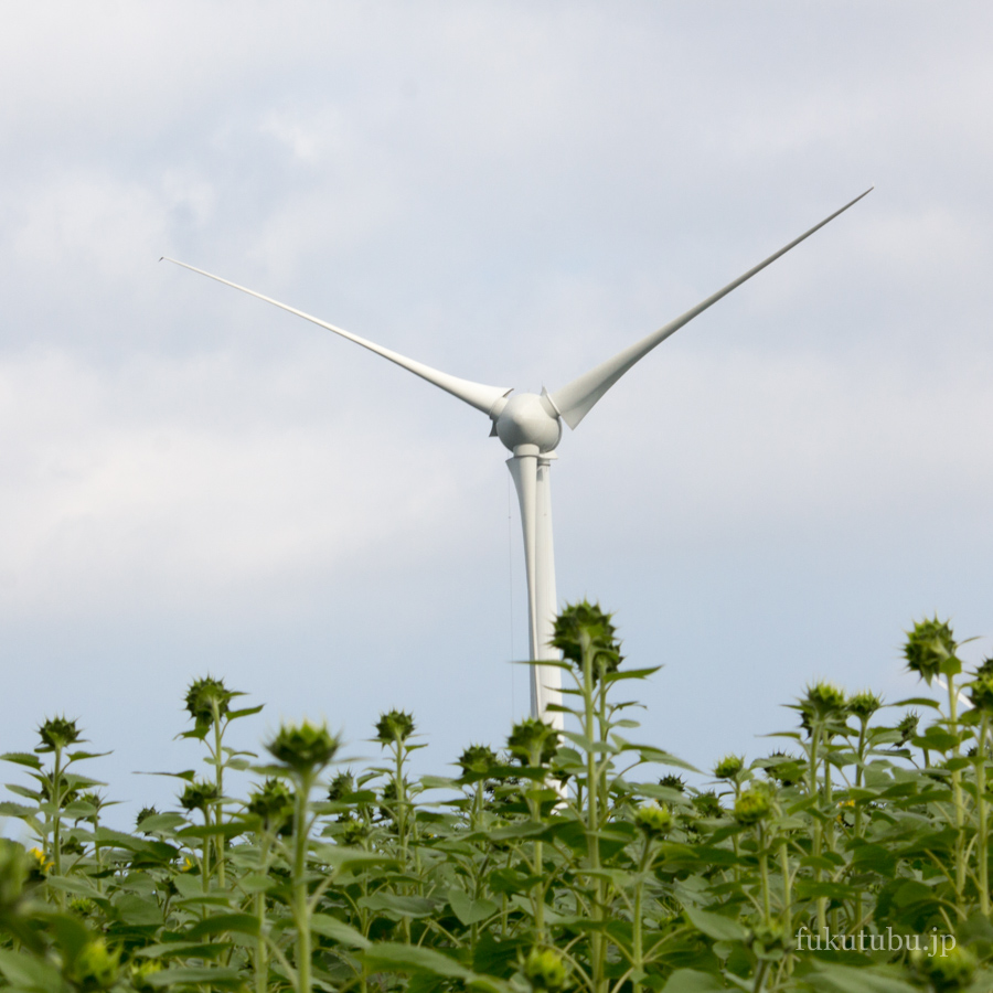 郡山布引風の高原