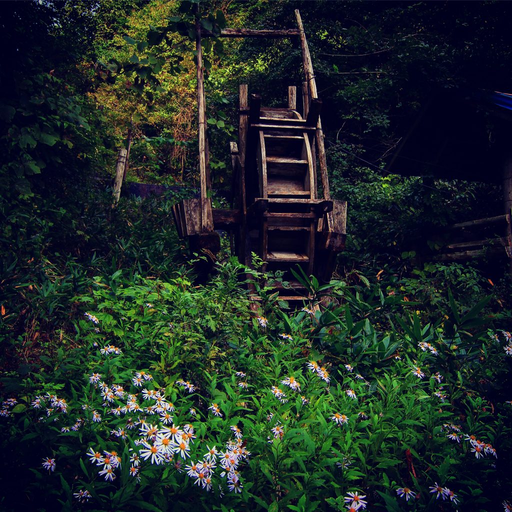 水車とマリーゴールド