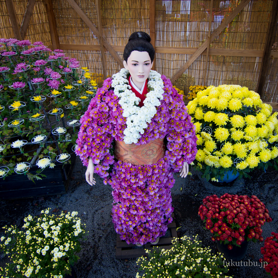 二本松の菊人形