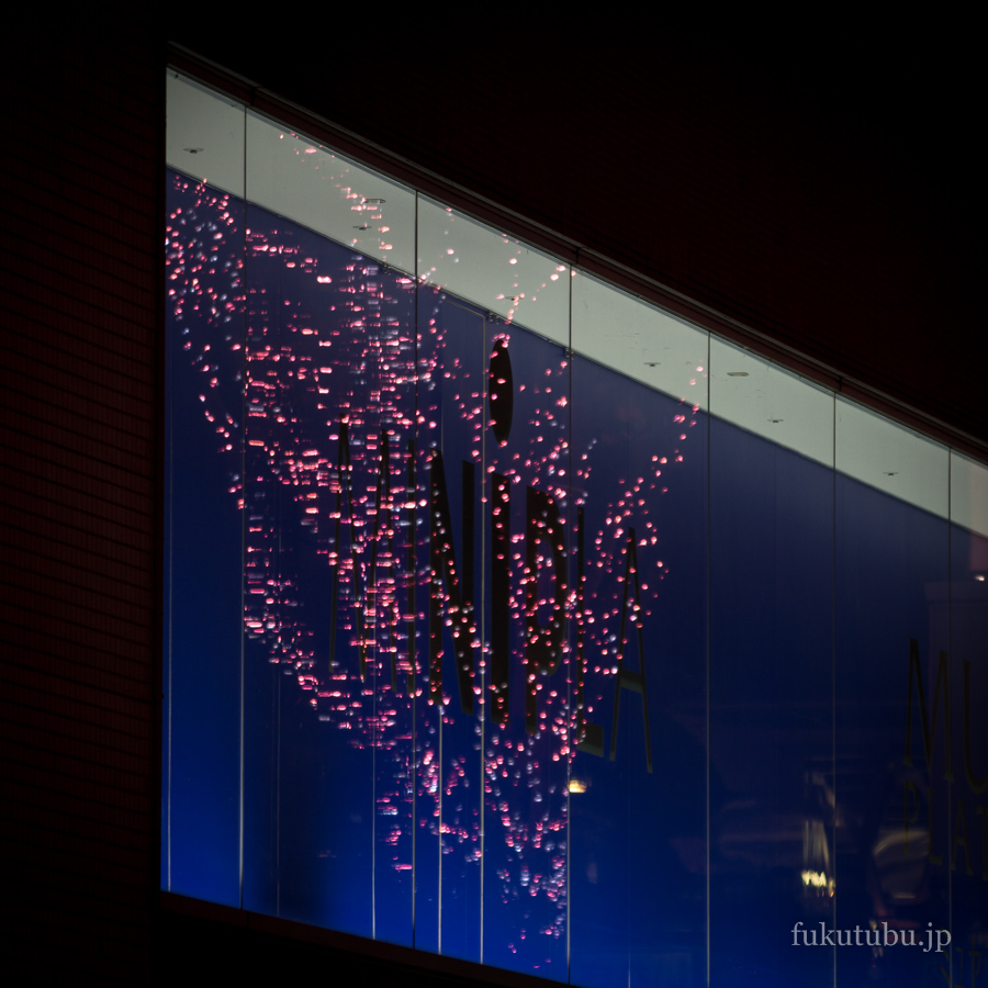 いわき光のさくらまつり 2016