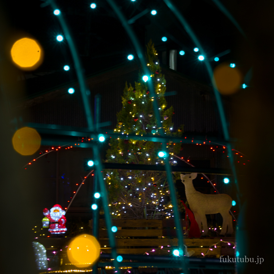 きらめきそうま2016