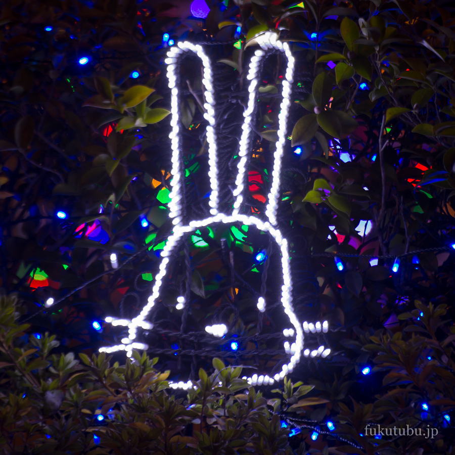 光のしずくイルミネーション