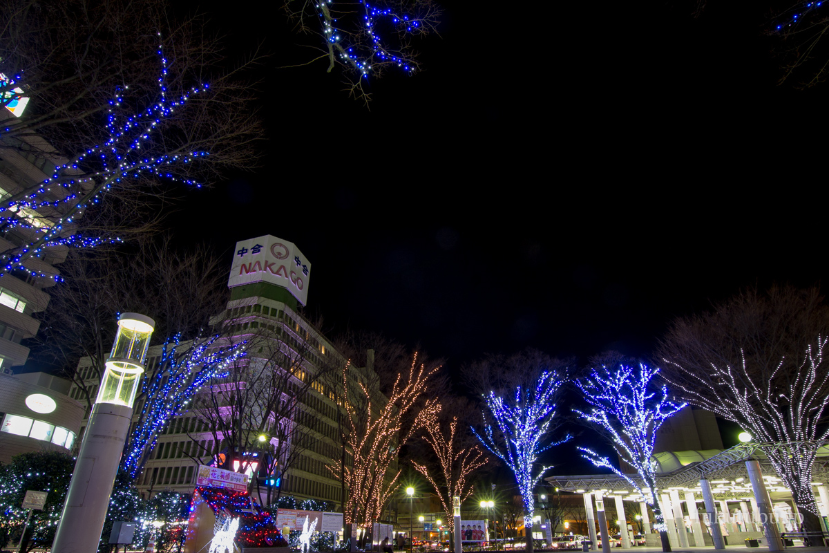 光のしずくイルミネーション