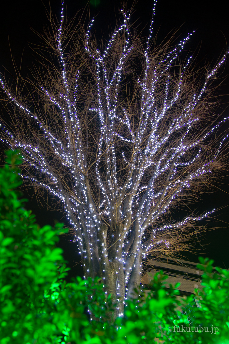 TOHOイルミネーション