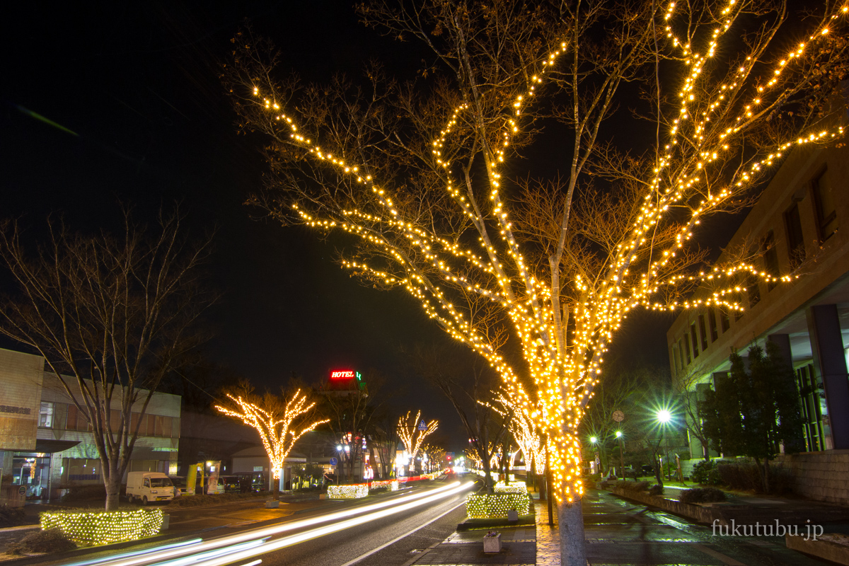 恋人たちのXmas・Happyツリー