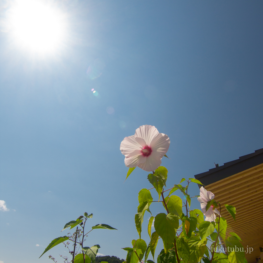 道の駅 いいたて村の道の駅 までい館